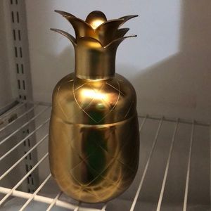 Pineapple Cocktail Shaker! 🍍